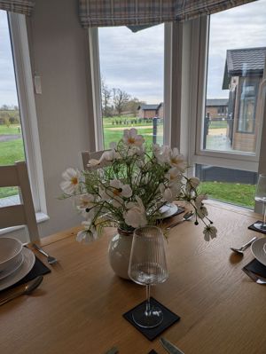 Photo 5- click for photo gallery